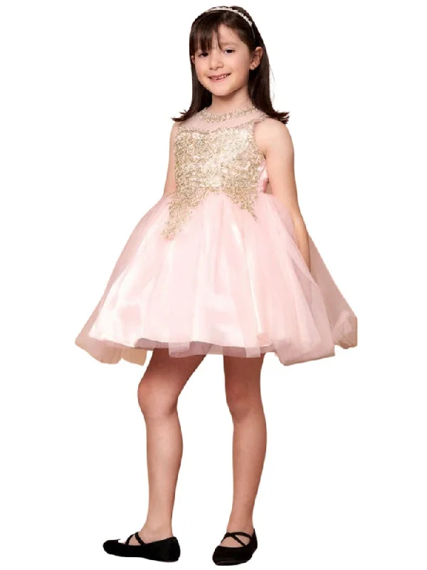 Elegant Fashion Offers Effortless Grace Big Girls Blush Gold Embroidered Illusion Neckline Junior Bridesmaid Dress 8-18